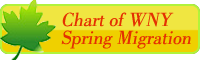 button link to WNY Spring Bird Migration Chart