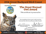 image of Great Backyard Bird Count Certificate
